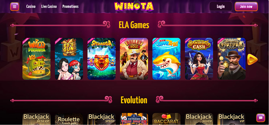 Winota Casino Providers