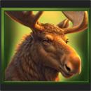 Grand-Buffalo-Hold-&-Win-Symbol-6